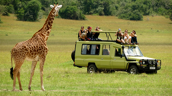 safaris-tours